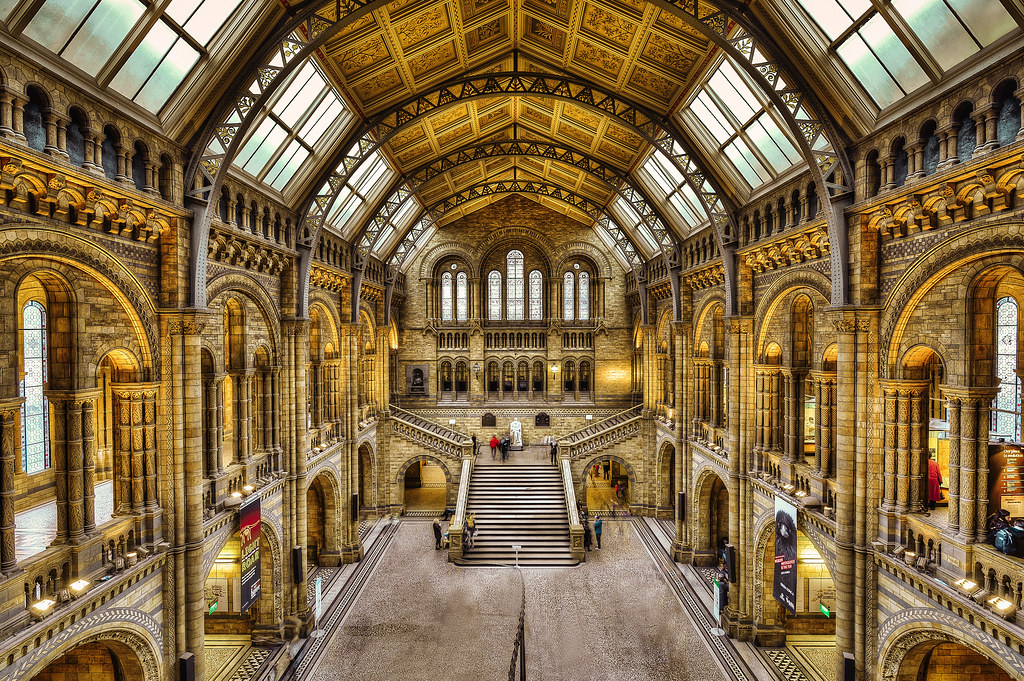 London Natural History Museum by Gene Krasko