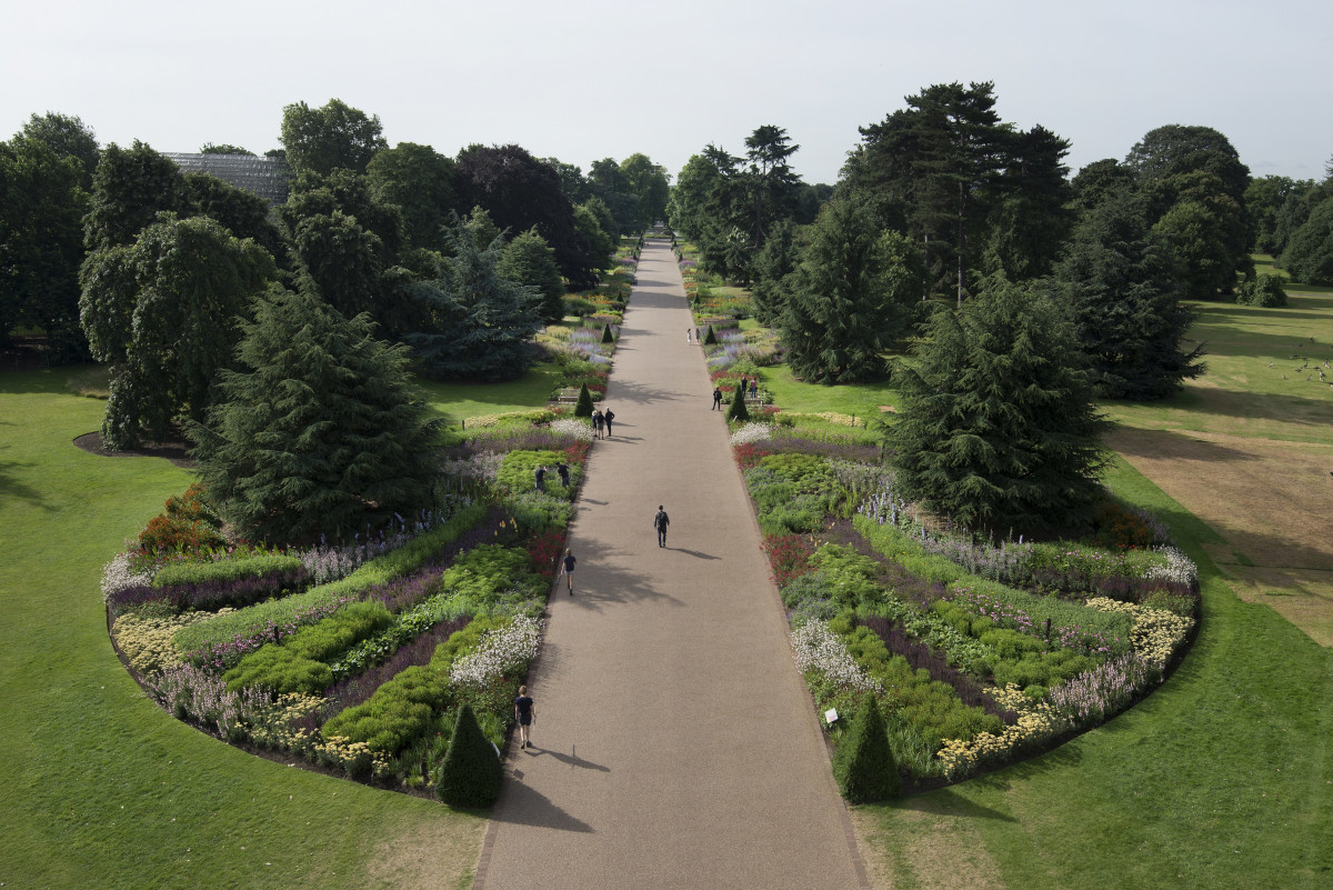 Great Broad Walk, Kew, London ©RGB Kew