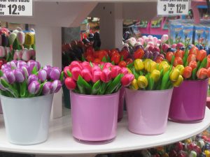Amsterdam Flower Market Tulips in Amsterdam