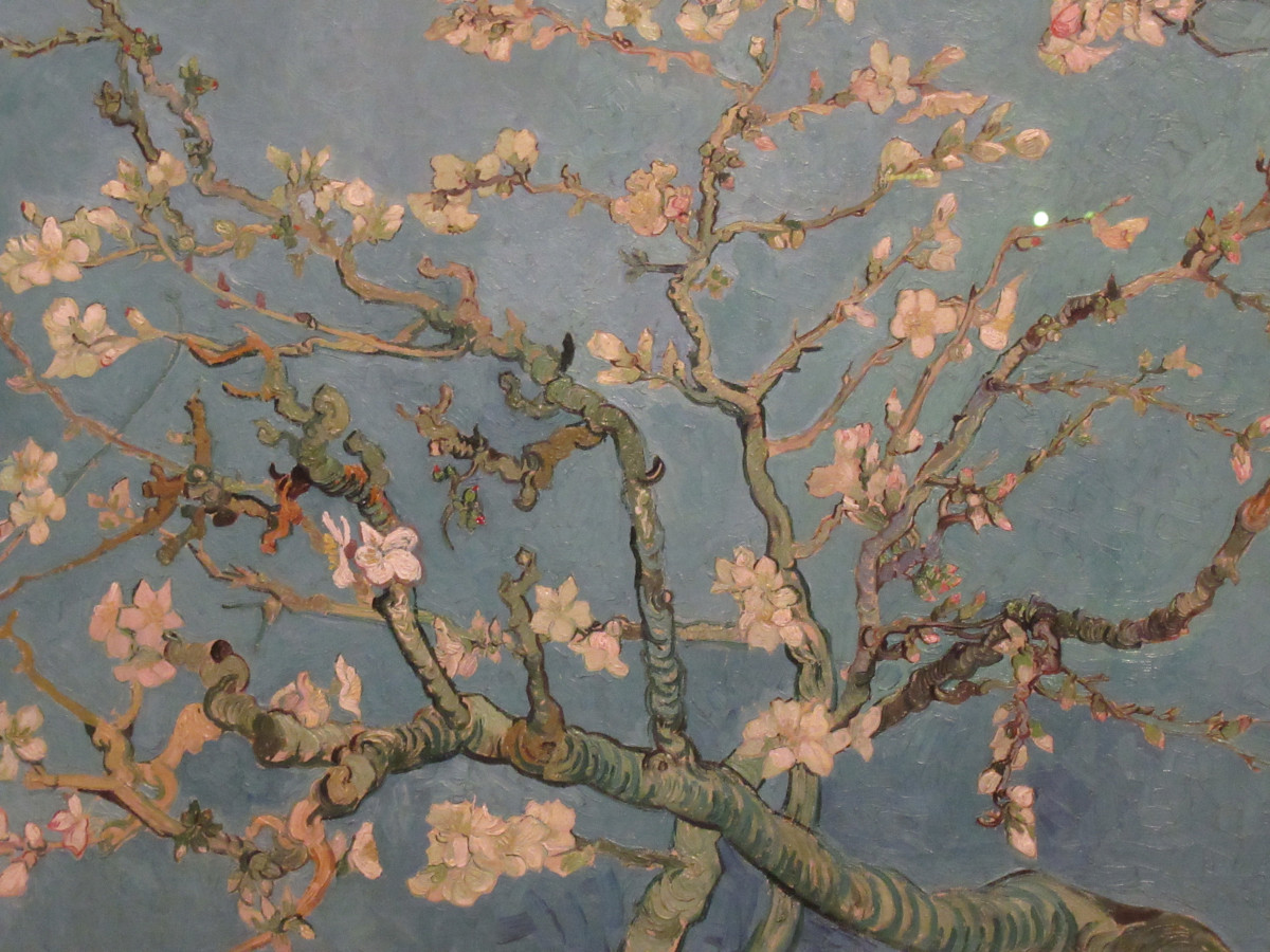 Amsterdam Van Gogh Almond Blossom