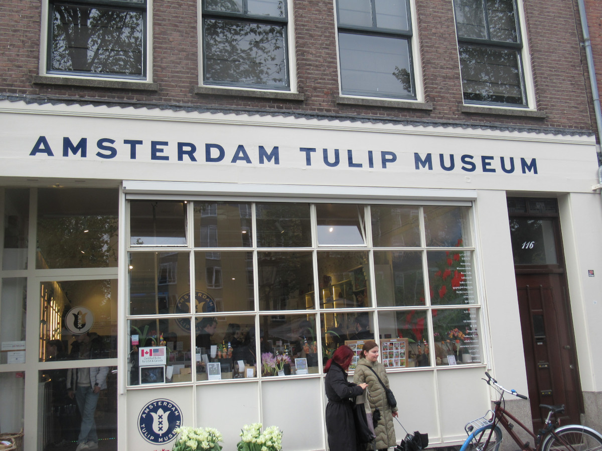 Tulip Museum, Amsterdam
