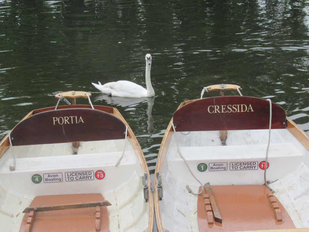 Stratford-on-Avon boats